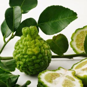 a1409567f6fad36bce9941fb8e494139